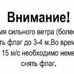 Флагшток (внутренняя протяжка флага) L=8000мм